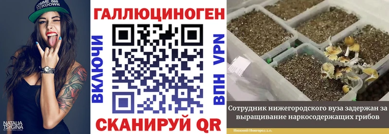 цена Балтийск Псилоцибиновые грибы прущие грибы